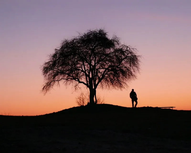 Mann unter Baum im Sonnenuntergang
